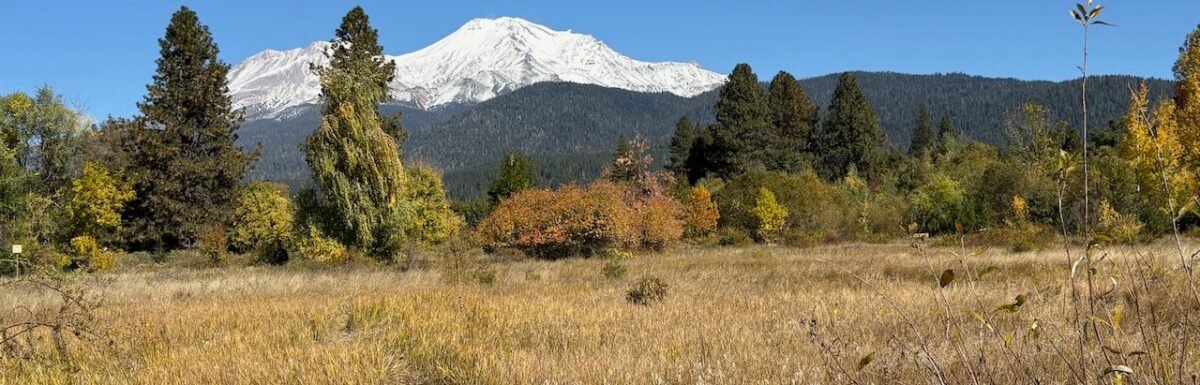 Mount Shasta by Terry Ambrose