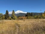 Mount Shasta by Terry Ambrose