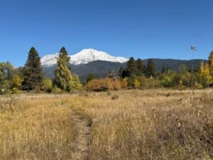 Mount Shasta by Terry Ambrose