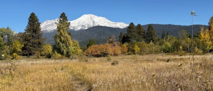 Mount Shasta by Terry Ambrose